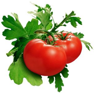 KAËL photo ingredient tomate